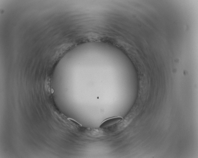 X0000074260768200609151801