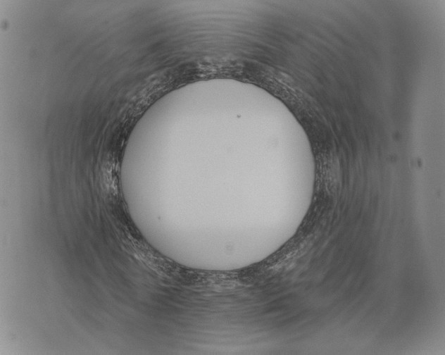 X0000074260770200609151800