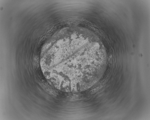 X0000074260772200609151800