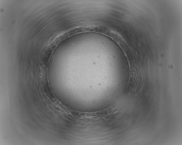 X0000074260773200609151800