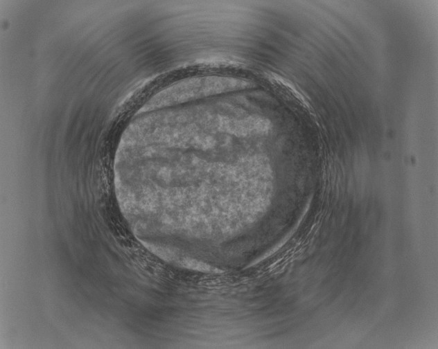 X0000074260776200609151800