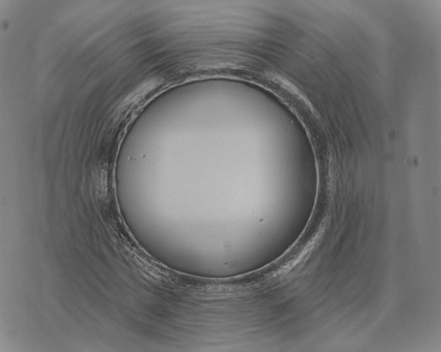 X0000074260777200609151800