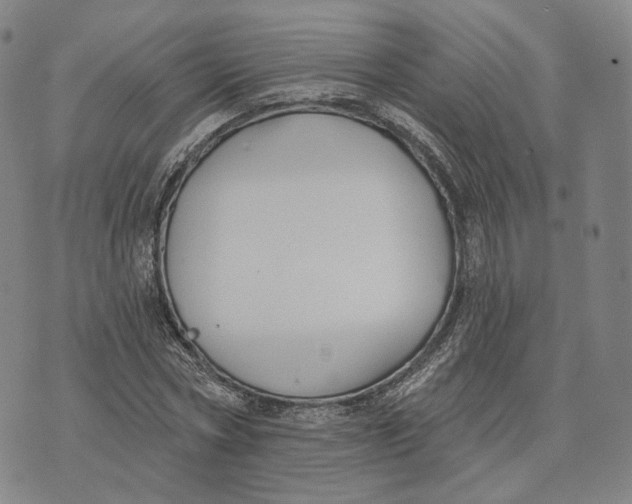 X0000074260778200609151800