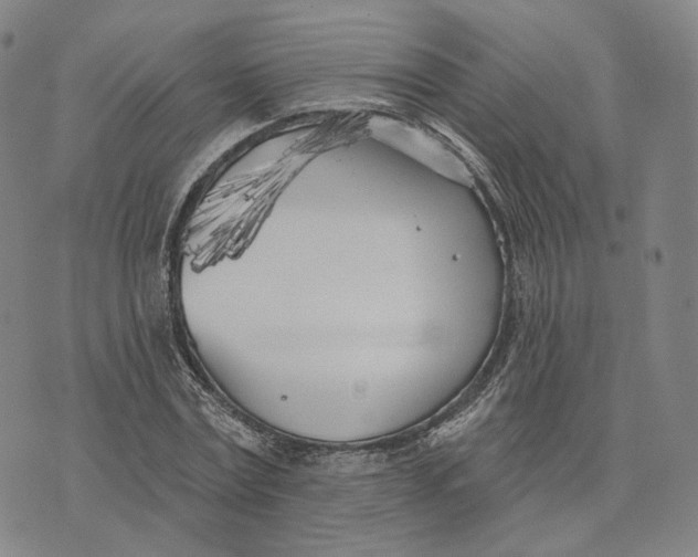 X0000074260779200609151800