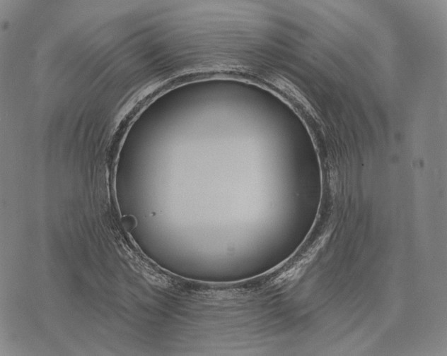 X0000074260781200609151800