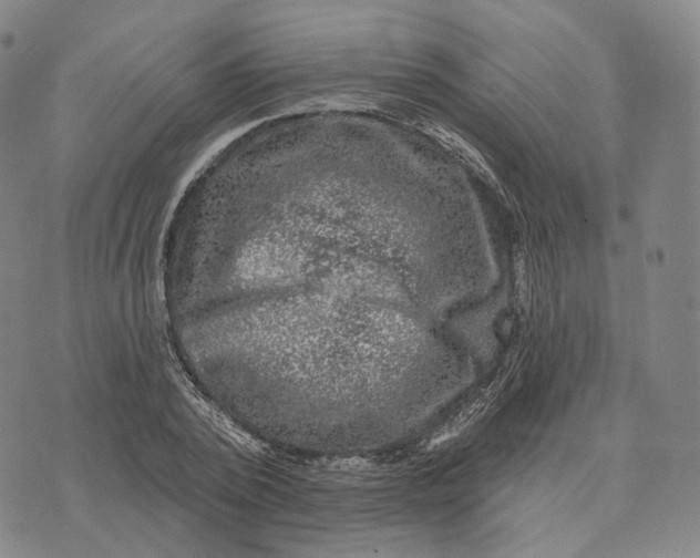 X0000074260784200609151800