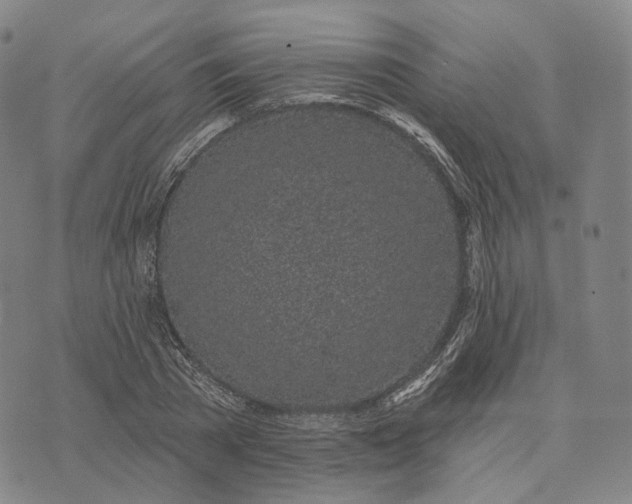 X0000074260785200609151800