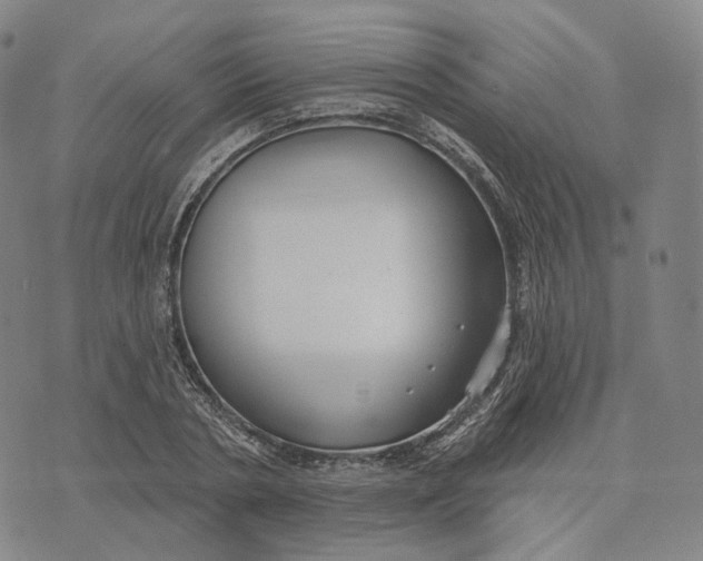 X0000074260786200609151800