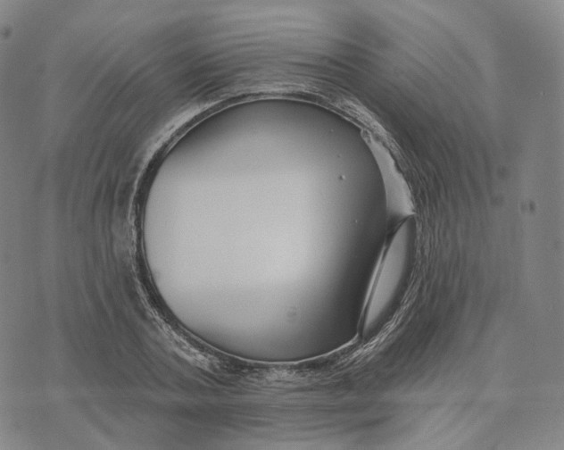 X0000074260787200609151800