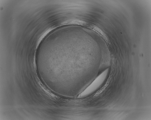 X0000074260788200609151800