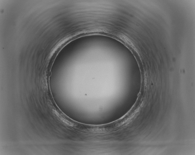 X0000074260789200609151800