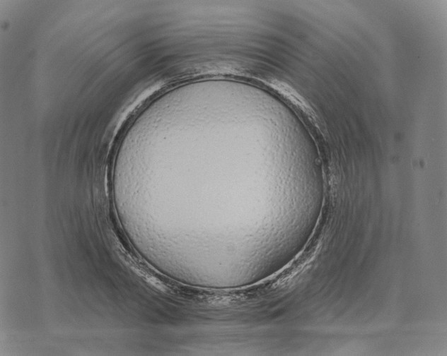 X0000074260790200609151800