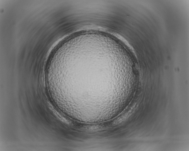 X0000074260791200609151800