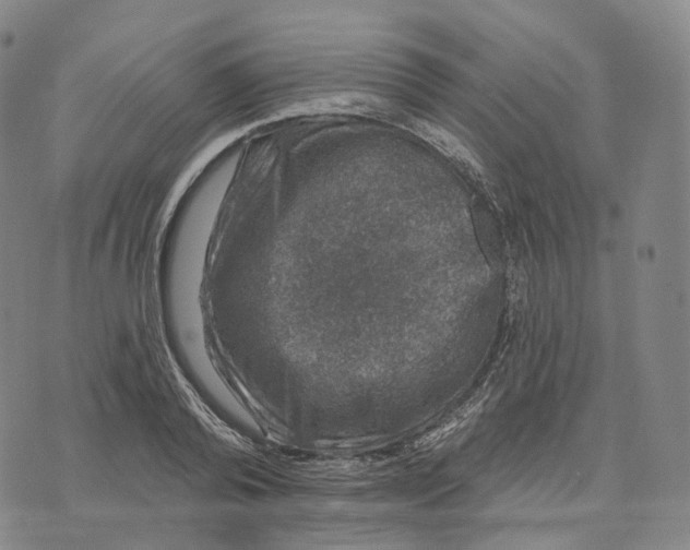 X0000074260792200609151800