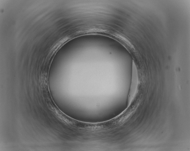 X0000074260793200609151800