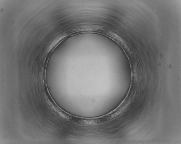 X0000074260794200609151800