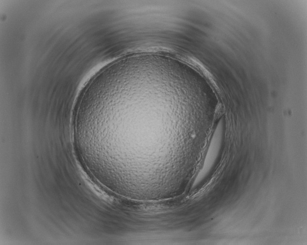 X0000074260795200609151800