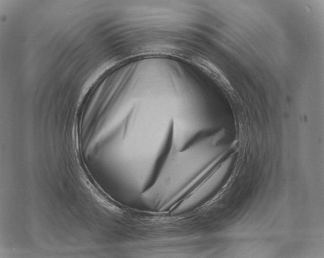 X0000074260796200609151800