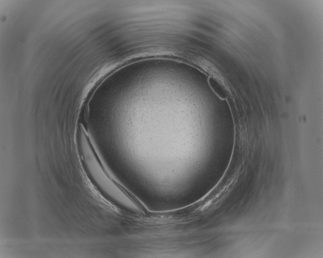 X0000074260797200609151800