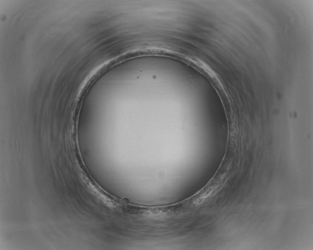 X0000074260799200609151800