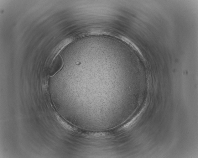 X0000074260801200609151800