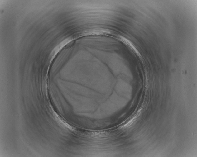 X0000074260802200609151800