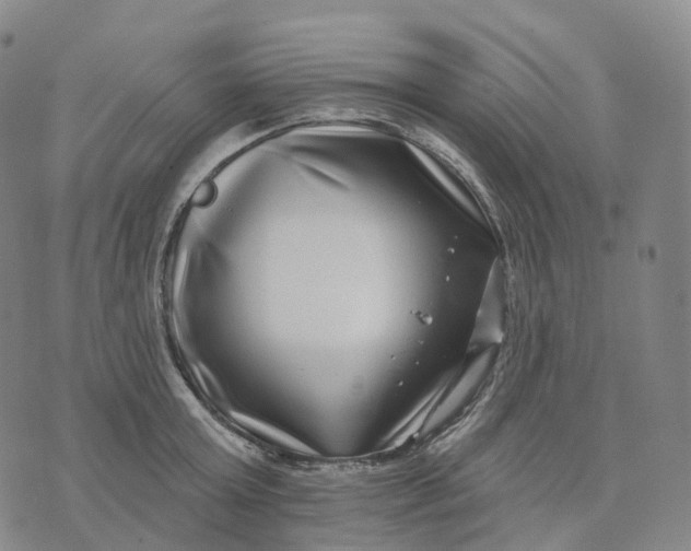 X0000074260803200609151800