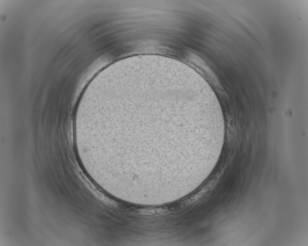 X0000074260804200609151800