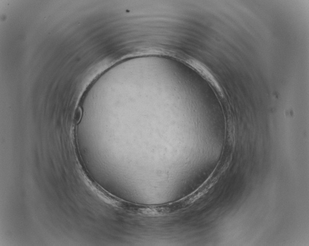 X0000074260805200609151800