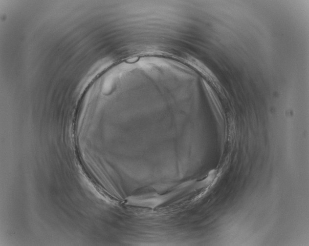 X0000074260806200609151800