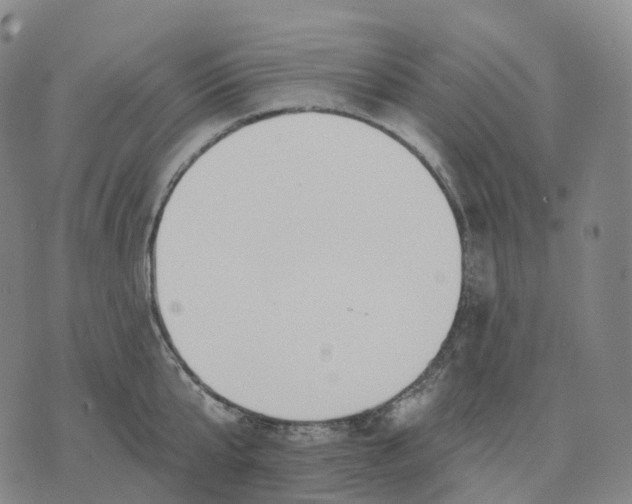 X0000074260807200609151800