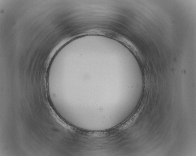 X0000074260808200609151800