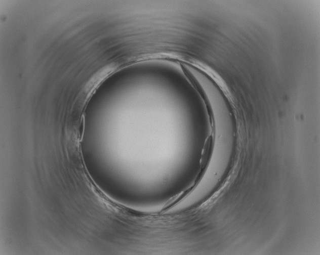 X0000074260809200609151800