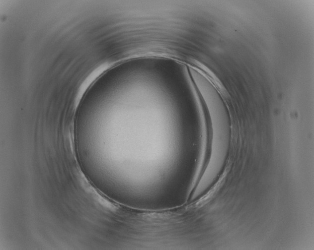 X0000074260812200609151800