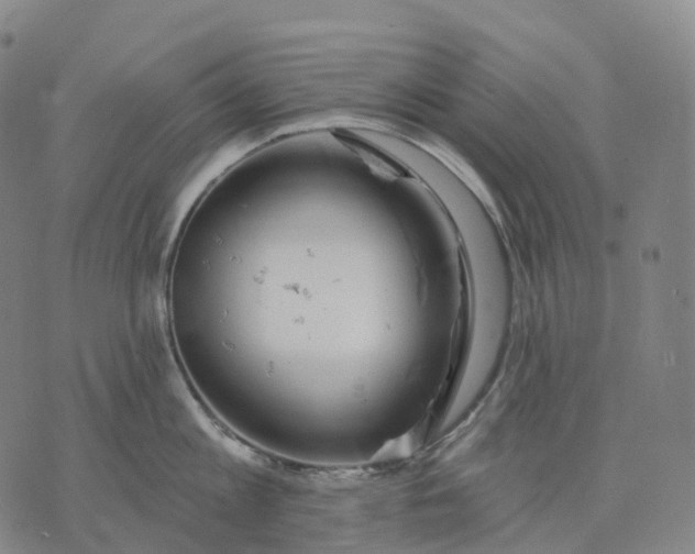 X0000074260813200609151800