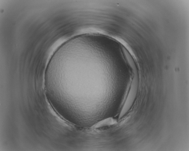 X0000074260815200609151800