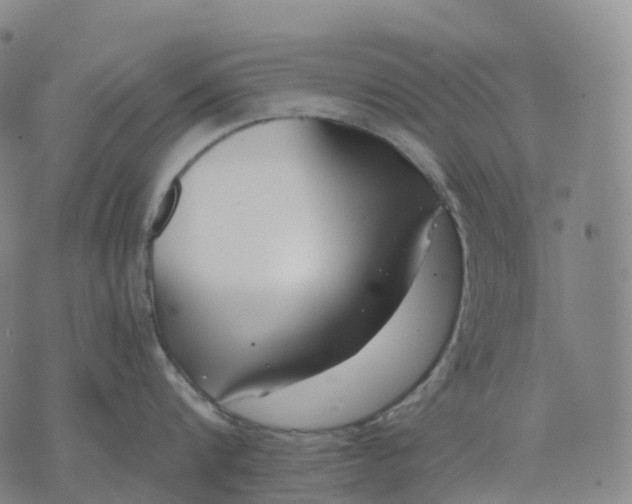 X0000074260816200609151800