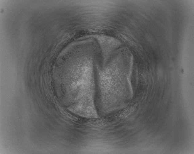 X0000074260817200609151759