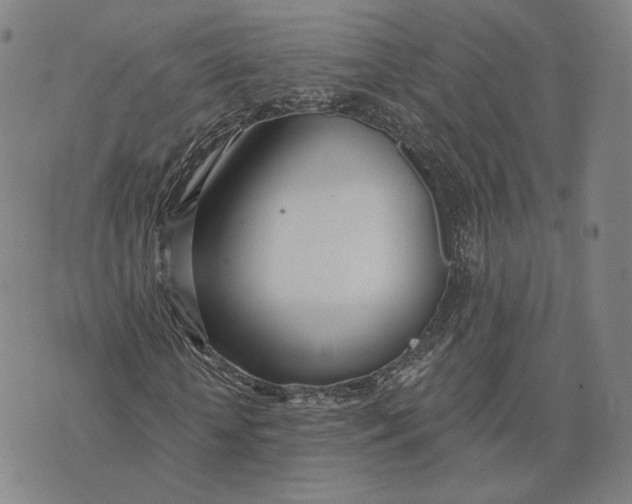 X0000074260818200609151759