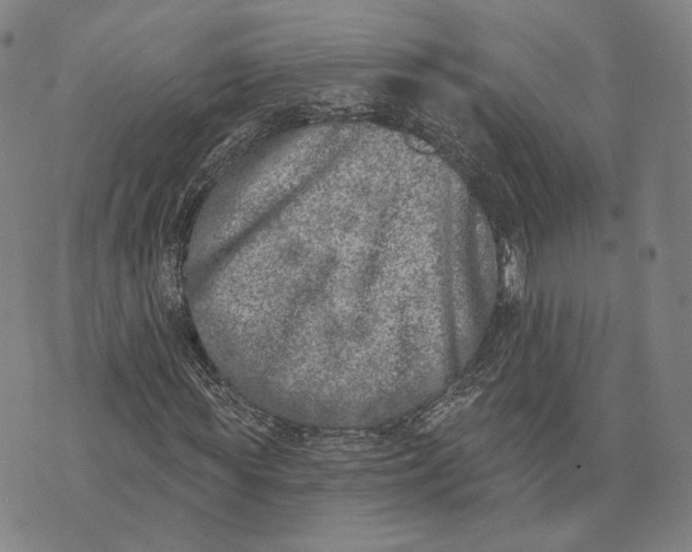 X0000074260819200609151759