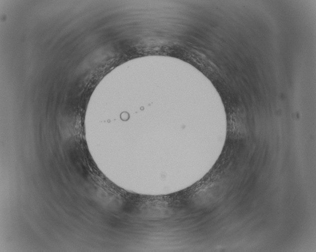 X0000074260820200609151759