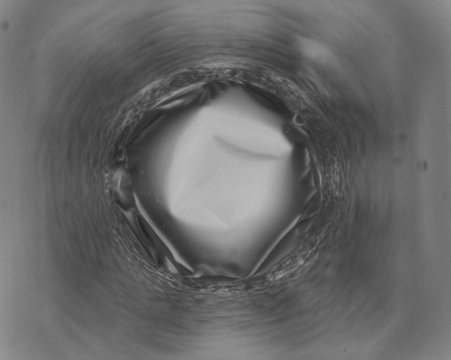 X0000074260821200609151759