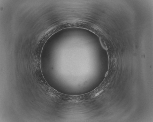 X0000074260822200609151759