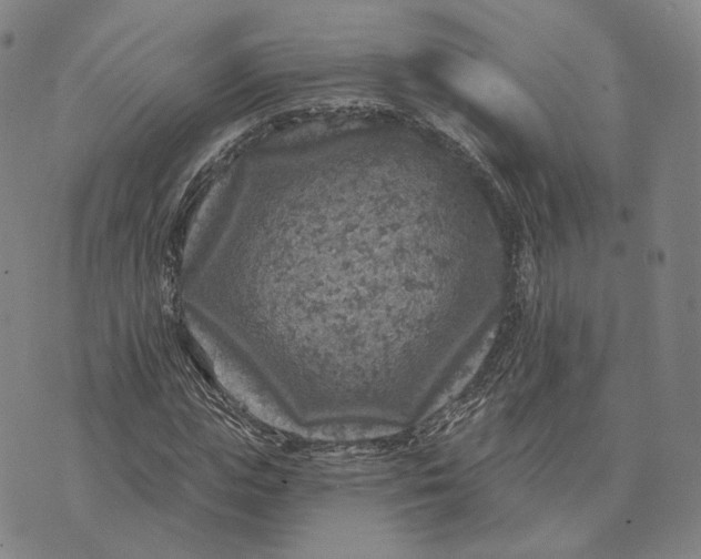 X0000074260823200609151759