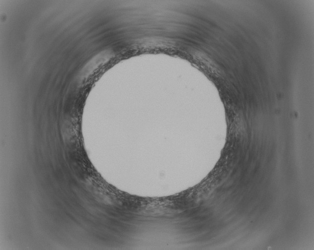 X0000074260824200609151759