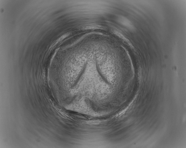 X0000074260825200609151759