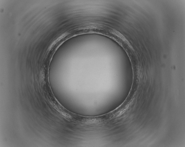 X0000074260826200609151759