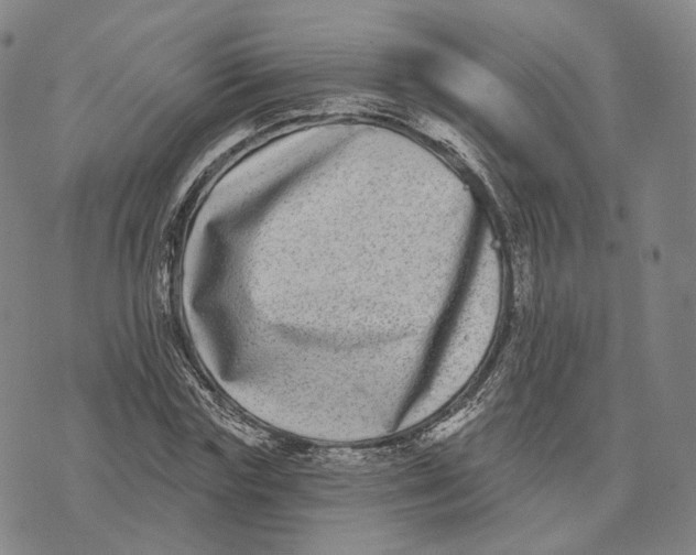 X0000074260827200609151759