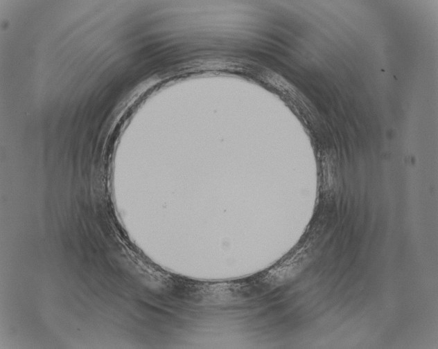 X0000074260828200609151759