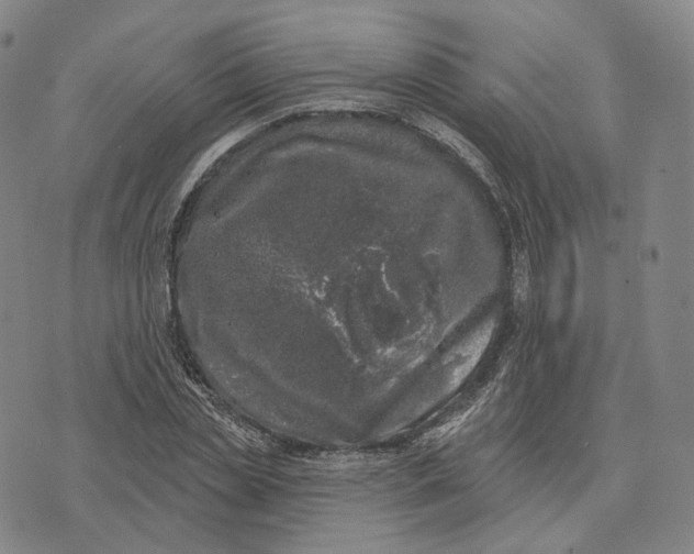 X0000074260829200609151759